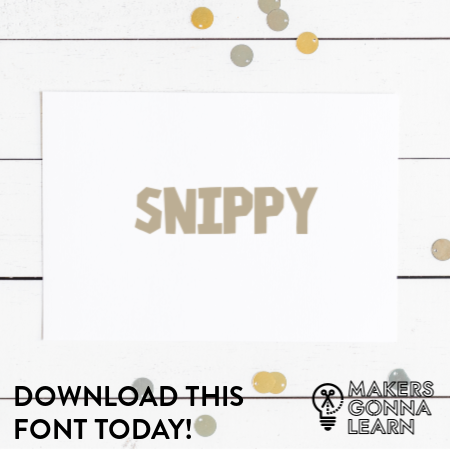 Snippy - Makers Gonna Learn