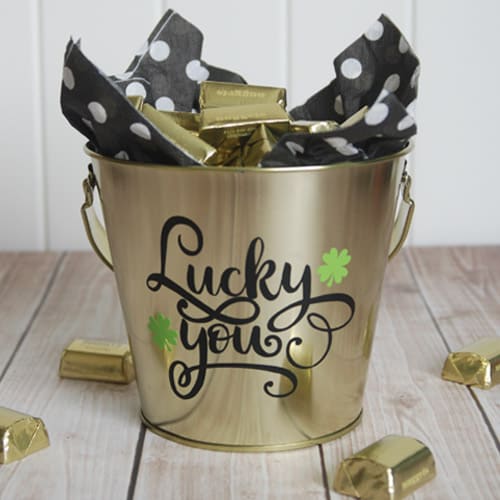 Lucky You Treat Bucket 