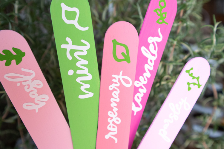 Cricut Herb Markers