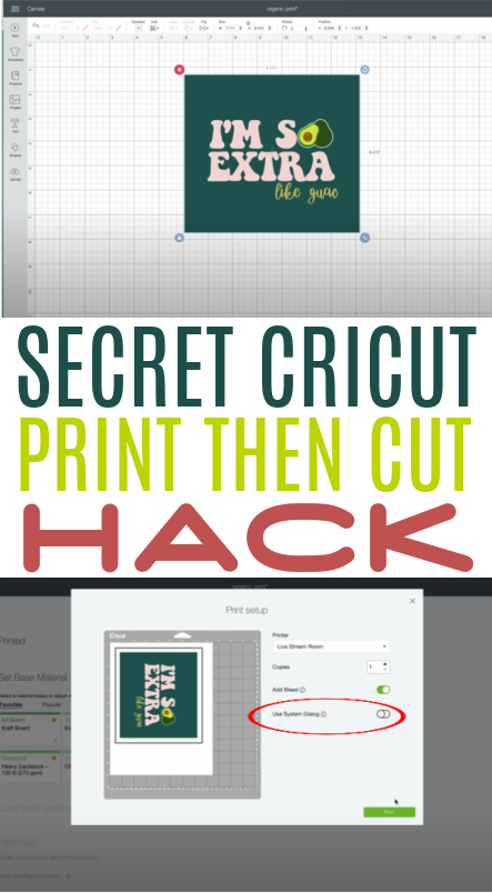 Print Then Cut Stickers with Your Cricut Joy?! - Conquer Your Cricut, Cameo  & ScanNCut Confusion!