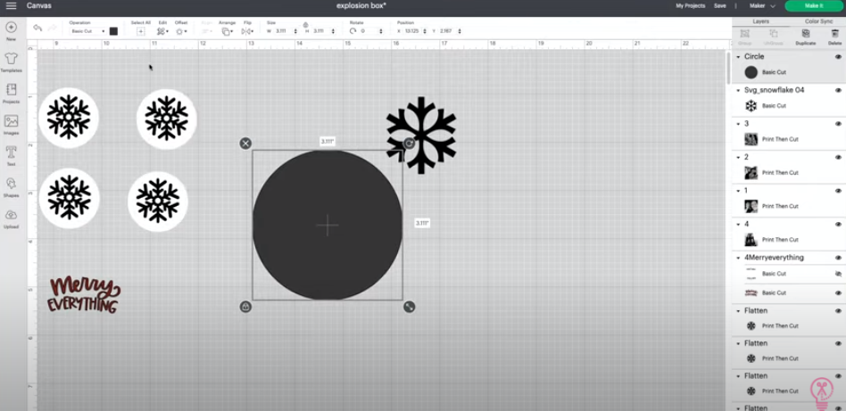 Add A Circle As The Background For The Snowflake